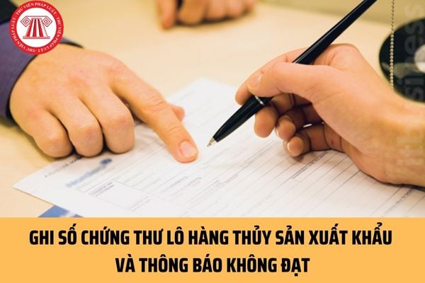 Lô hàng thủy sản xuất khẩu được hướng dẫn ghi số chứng thư và thông báo không đạt ra sao?