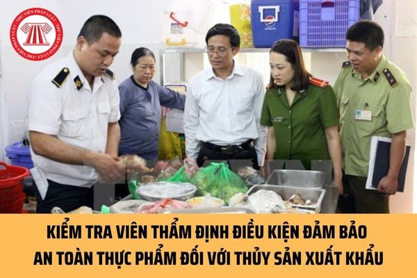 Kiểm tra viên thẩm định điều kiện đảm bảo an toàn thực phẩm đối với thủy sản xuất khẩu có những trách nhiệm và quyền hạn gì?