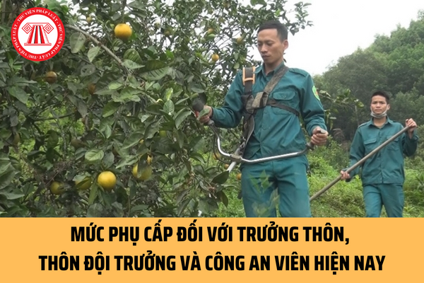 Mức phụ cấp đối với trưởng thôn, thôn đội trưởng và đối với công an viên hiện nay quy định như thế nào?