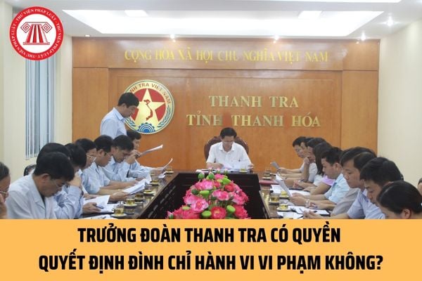 Trưởng đoàn thanh tra có quyền quyết định đình chỉ hoặc kiến nghị đình chỉ hành vi vi phạm không? 