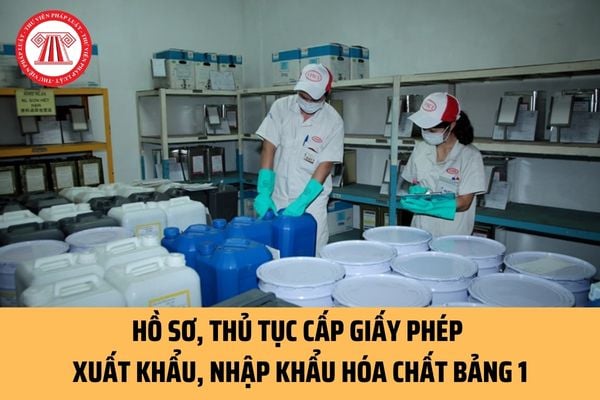 Hồ sơ cấp giấy phép xuất khẩu, nhập khẩu hóa chất Bảng 1 gồm những gì? Thực hiện thủ tục như thế nào?