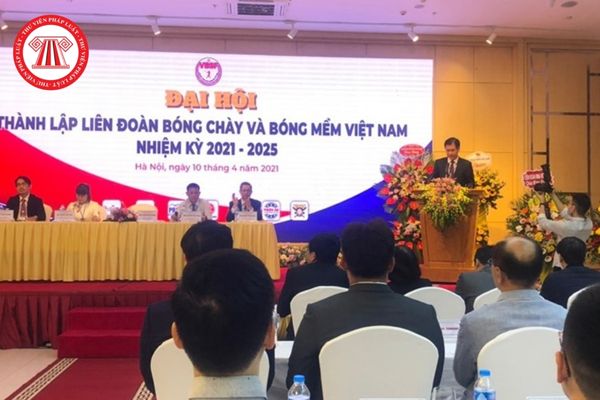  Liên đoàn Bóng chày và Bóng mềm Việt Nam