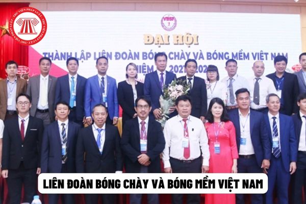 Liên đoàn Bóng chày và Bóng mềm Việt Nam