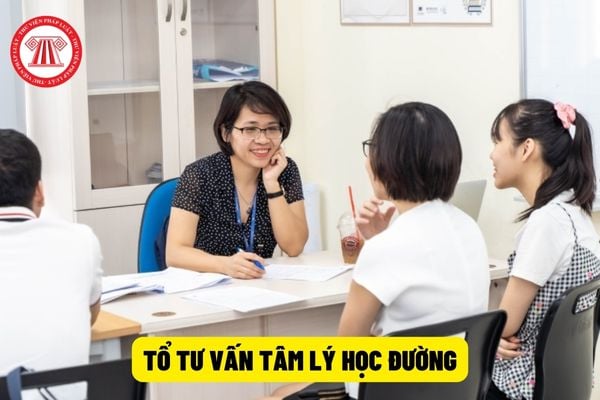 Những nguyên tắc cơ bản trong tư vấn tâm lý học đường là gì?
