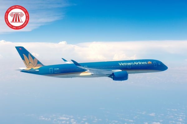 Tổng giám đốc VIETNAM AIRLINES do cơ quan nào có thẩm quyền bổ nhiệm?