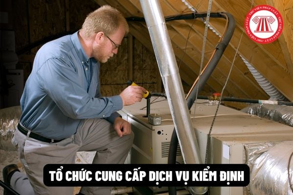 Tổ chức cung cấp dịch vụ kiểm định