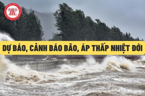 dự báo, cảnh báo bão, áp thấp nhiệt đới