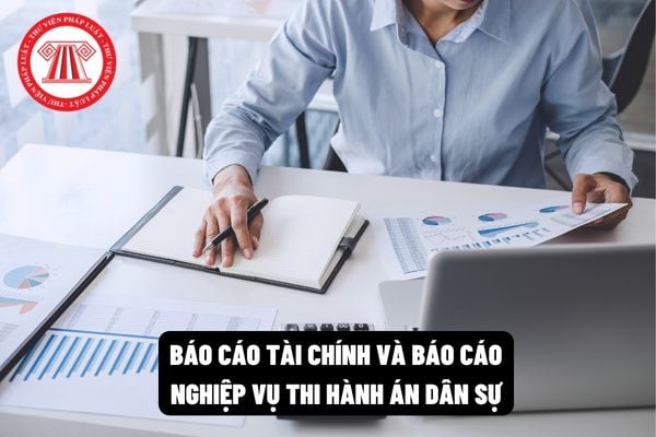 Báo cáo tài chính và báo cáo nghiệp vụ thi hành án dân sự