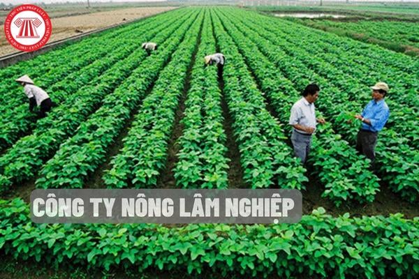 Công ty nông lâm nghiệp