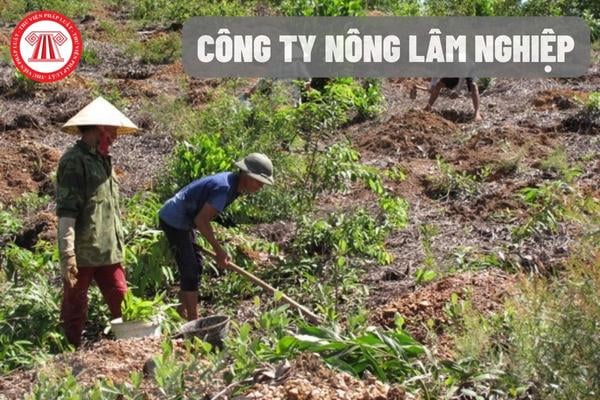 Công ty nông lâm nghiệp