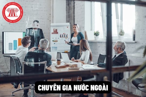 Chuyên gia nước ngoài vào làm việc tại Việt Nam