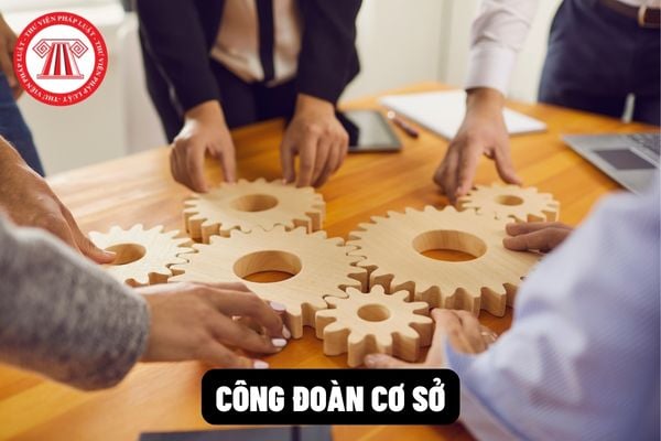 Điều kiện thành lập và hình thức tổ chức của công đoàn cơ sở là gì? Bao nhiêu thành viên thì được thành lập một tổ công đoàn? 