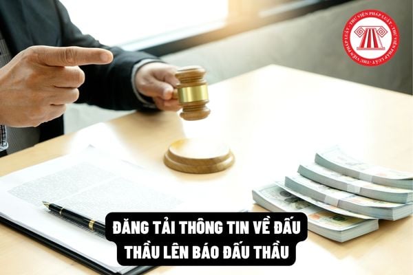 Đăng tải thông tin về đấu thầu lên Báo đấu thầu