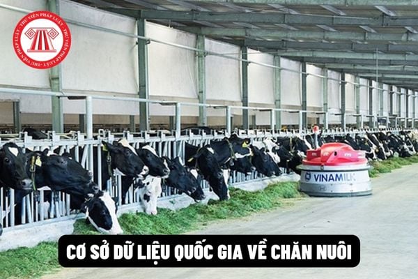 Cơ sở dữ liệu quốc gia về chăn nuôi