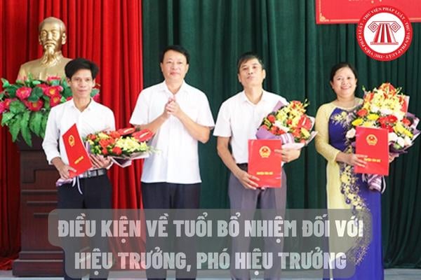 điều kiện về tuổi bổ nhiệm đối với Hiệu trưởng, Phó hiệu trưởng