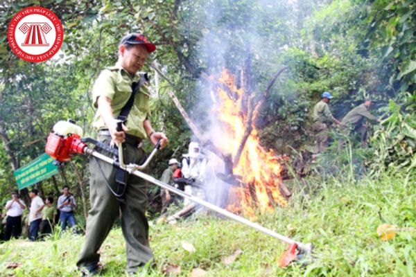Khi phát hiện vụ cháy rừng chủ rừng có trách nhiệm thông báo nhanh tới cơ quan nào?