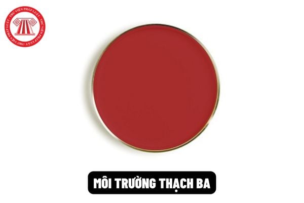 Môi trường thạch BA