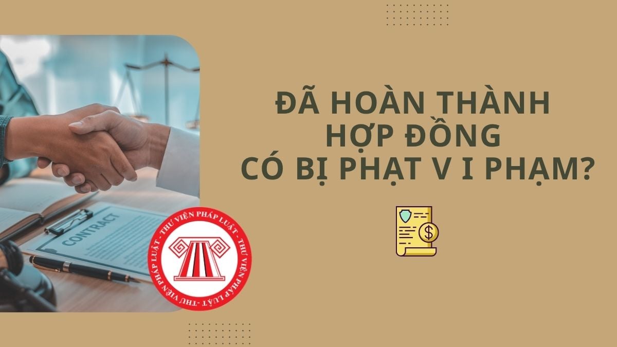 Pháp luật