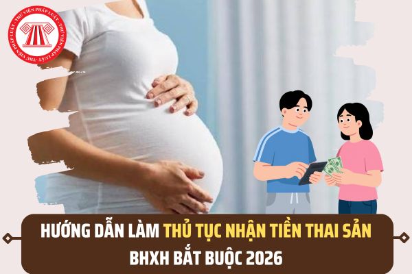 Pháp luật