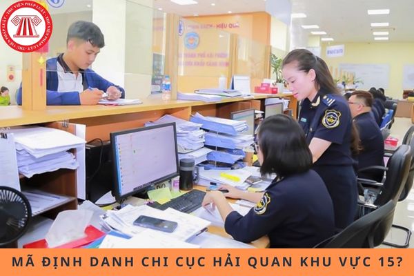 Pháp luật