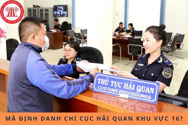Pháp luật