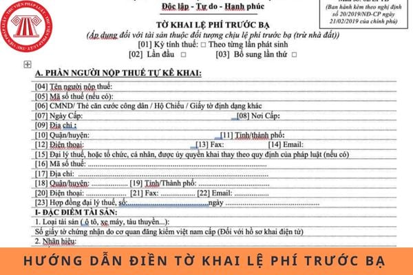 Pháp luật