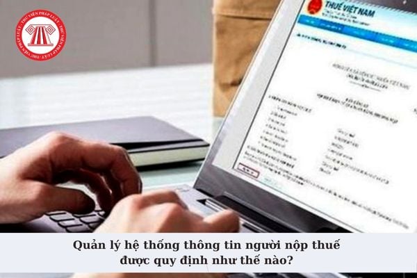 Quản lý hệ thống thông tin người nộp thuế được quy định như thế nào? Cơ quan tổ chức xây dựng, quản lý hệ thống thông tin người nộp thuế?