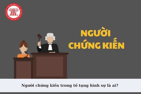 Người chứng kiến trong tố tụng hình sự là ai? Người chứng kiến phải giữ bí mật về hoạt động điều tra mà mình chứng kiến?