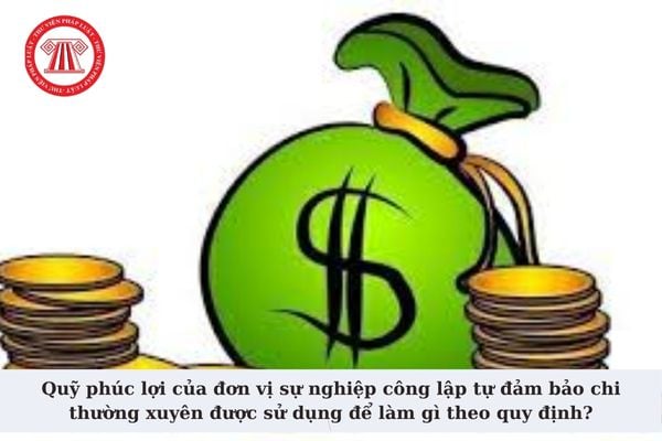 Quỹ phúc lợi của đơn vị sự nghiệp công lập tự đảm bảo chi thường xuyên được sử dụng để làm gì theo quy định?