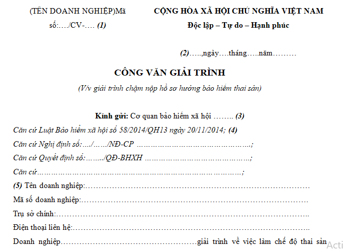 Mẫu văn bản giải trình chậm nộp hồ sơ hưởng chế độ thai sản mới nhất 