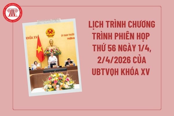 Pháp luật
