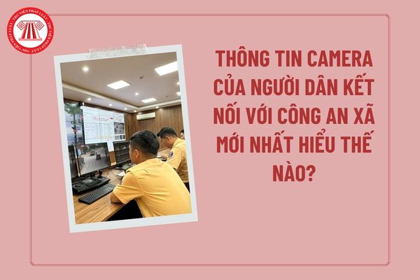 Pháp luật