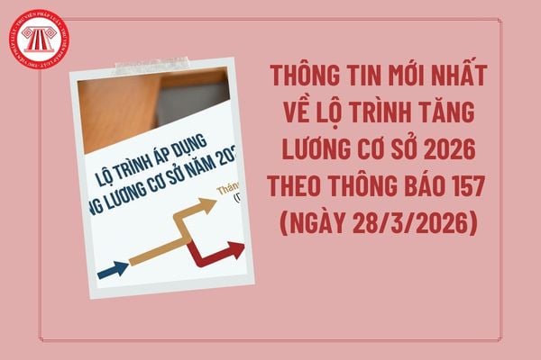 Pháp luật