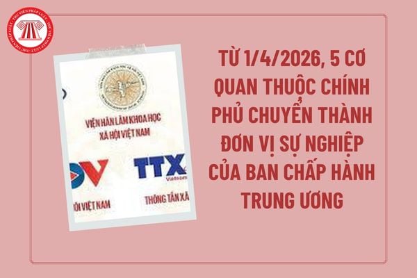 Pháp luật