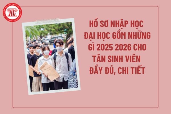 Hồ sơ nhập học đại học gồm những gì 2025 2026? Sinh viên nhập học cần những giấy tờ gì? Mẫu hồ sơ nhập học đại học?