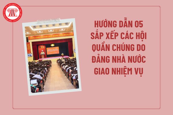 Pháp luật