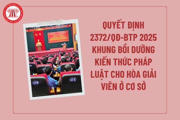 Pháp luật