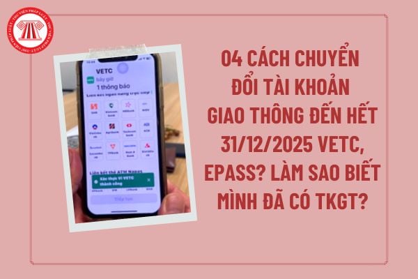 Pháp luật
