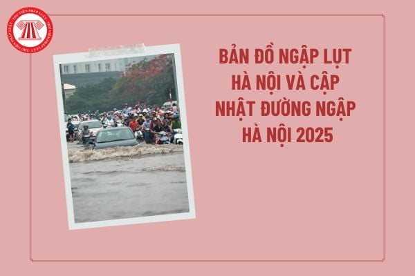 Pháp luật