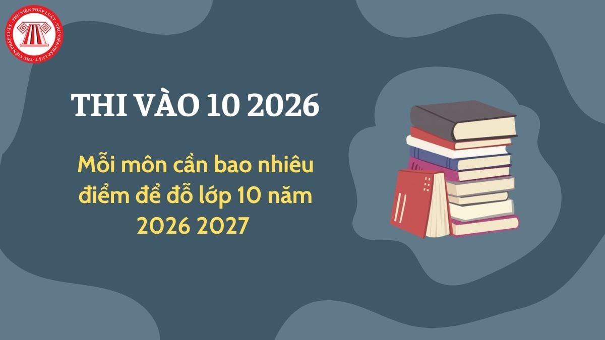 Pháp luật