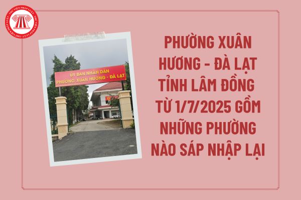Phường Xuân Hương Đà Lạt tỉnh Lâm Đồng từ 1/7/2025 gồm những phường nào sáp nhập lại với nhau?