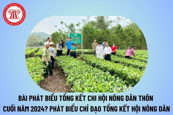 Bài phát biểu tổng kết chi Hội nông dân thôn, xã cuối năm 2024 ngắn gọn? Phát biểu chỉ đạo tổng kết Hội nông dân xã 2024?