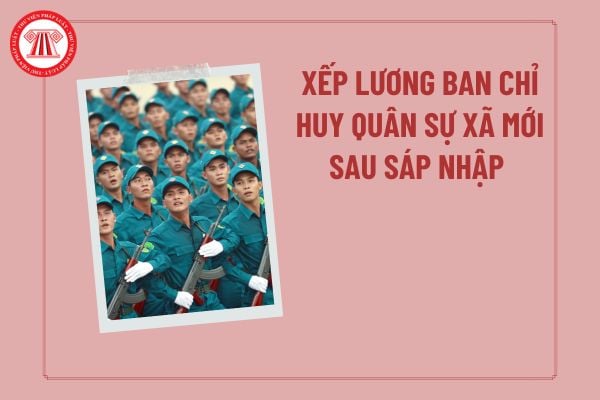 Pháp luật