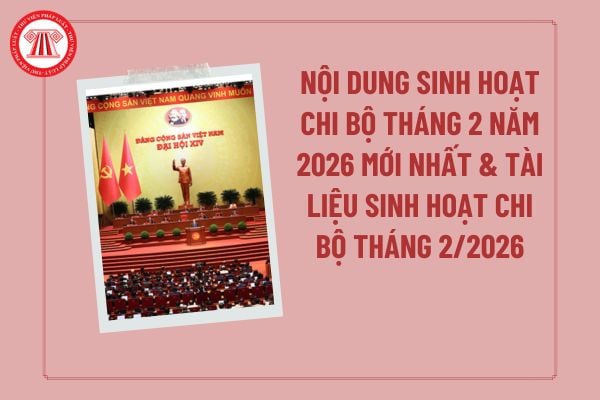 Pháp luật