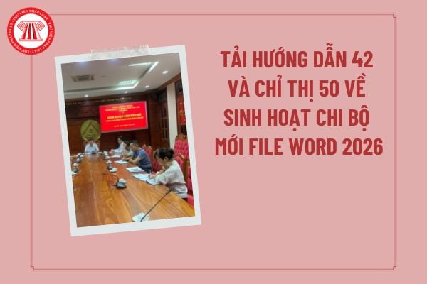 Pháp luật