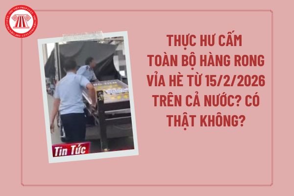 Pháp luật