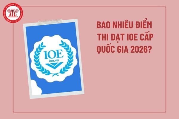Pháp luật