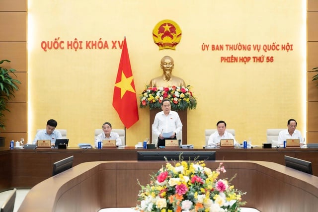 Pháp luật