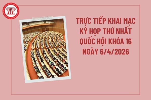 Pháp luật