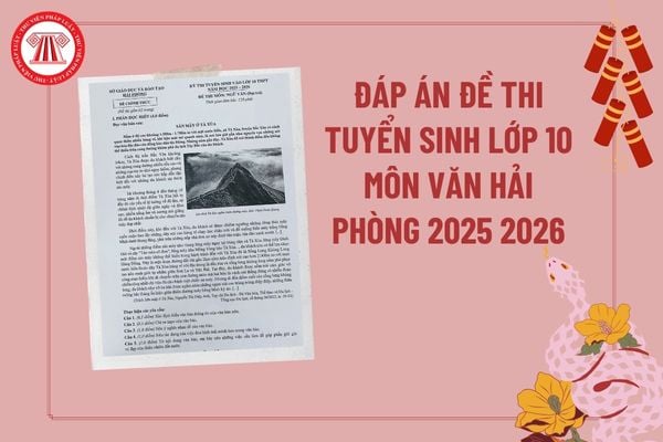 Pháp luật